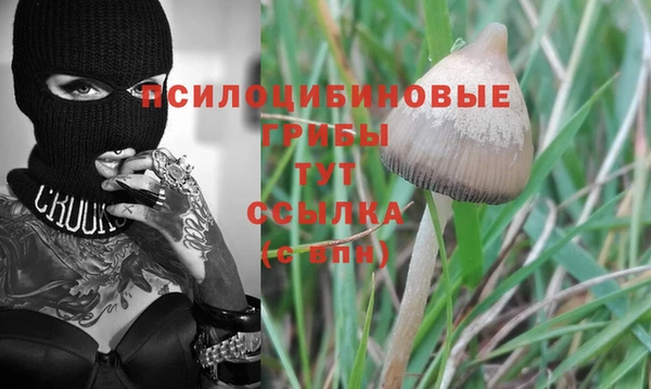 бутират Абаза